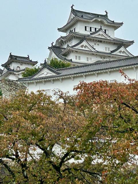       Japanese castle with autumn foliage.
  