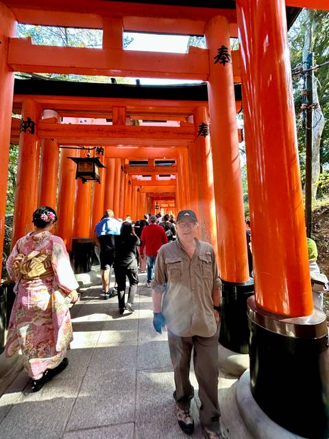       Tourists walking through traditional Japanese torii gates.
  