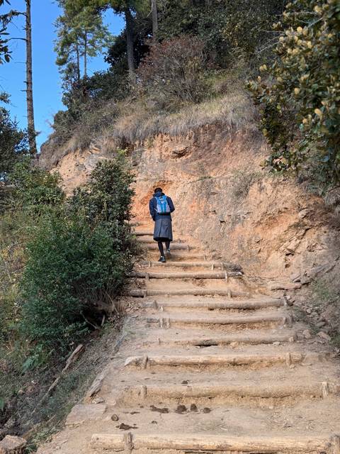       A person hiking up a rocky path with greenery around.
  