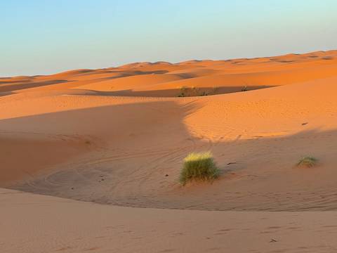 Sand dunes in a desert landscape.