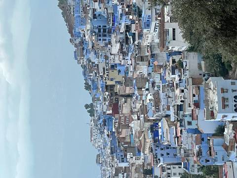 Houses in the blue town of Chefchaouen.