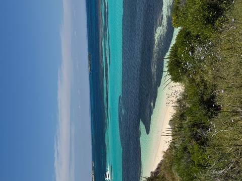 Turquoise beach with vegetated foreground.