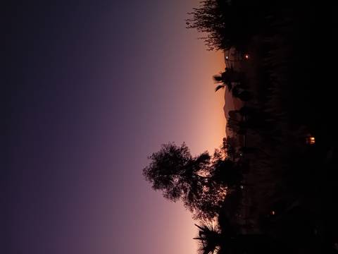       Sunset silhouette of trees and mountains.
  