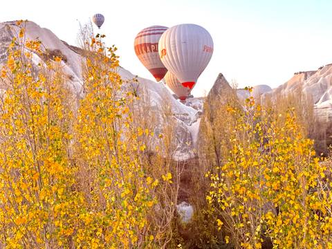 Colorful hot air balloons over rocky landscape with trees and bushes.