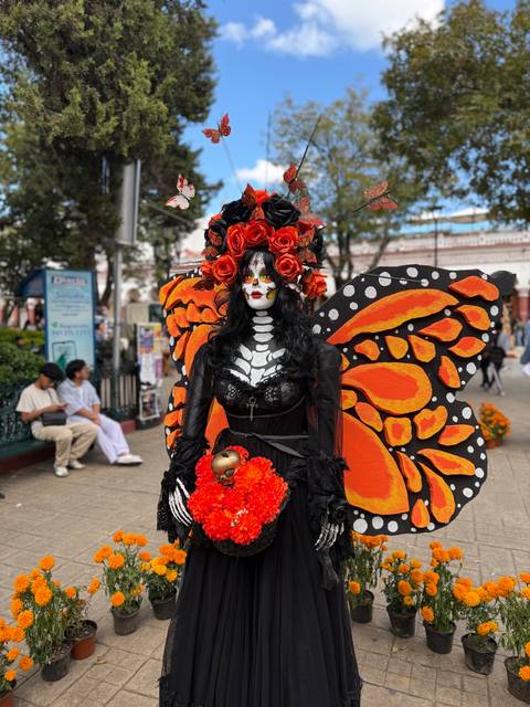 Person dressed for Day of the Dead with elaborate face paint and wings.