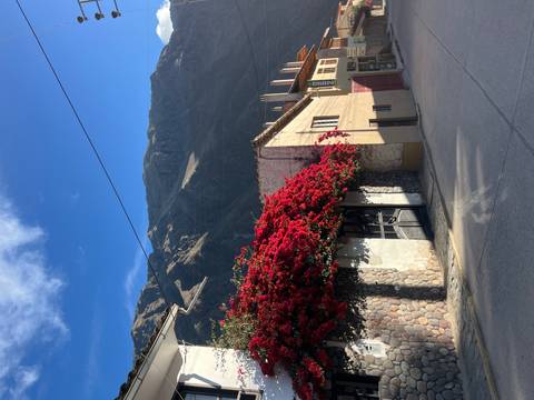 Red flowers overhanging a building with mountainous backdrop.