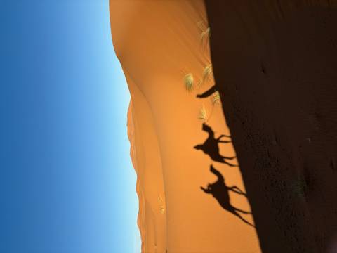       Shadows of camels and riders on sand dunes.
  