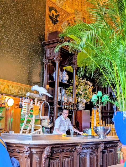 Bar interior decorated with plants and traditional decor.