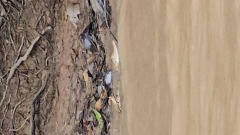 Crocodile visible through murky river water.