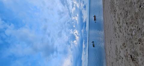 Serene beach view with boats on the water.