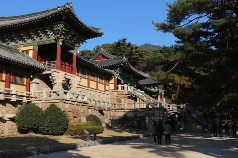 Lush tea plantation with colorful foliage in autumn.