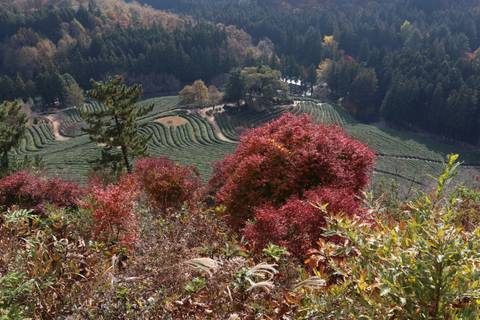 Historic Korean fortress wall with decorative flags.