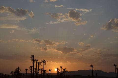 A scenic sunset with visible palm trees and a silhouetted landscape.