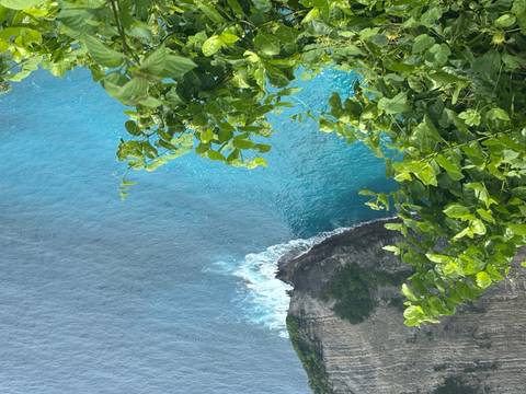 Cliffside view of blue ocean waves and greenery.