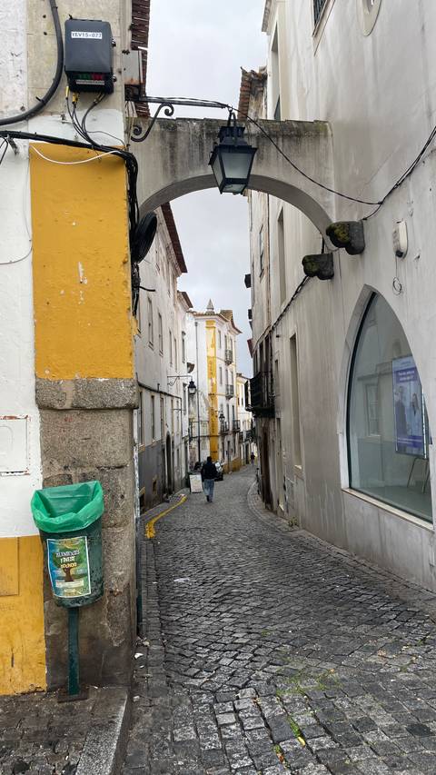 Quaint street with historic buildings and cobblestone road.