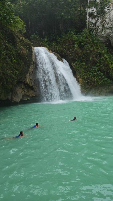 Two people swimming near a waterfall