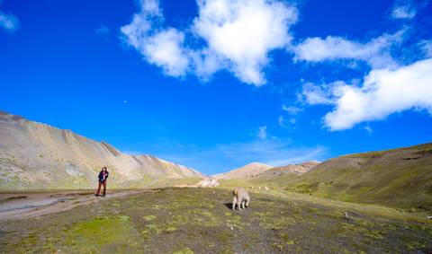 Vast landscape with a blue sky and scattered white clouds, featuring a person and a llama.