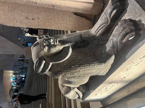       Stone sphinx statue inside a museum setting.
  