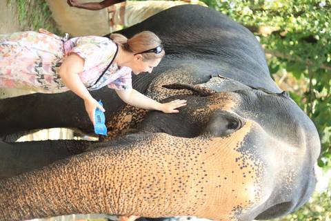 Woman interacting with an elephant by touching it.