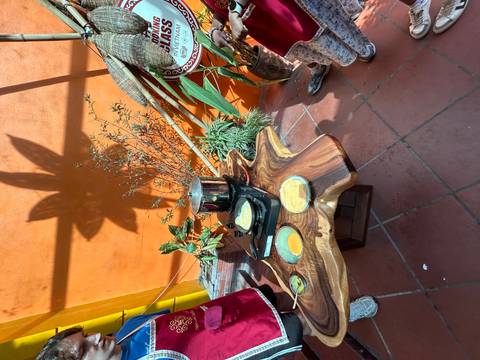 Cooking pot on a stove with plants and orange wall in the background.