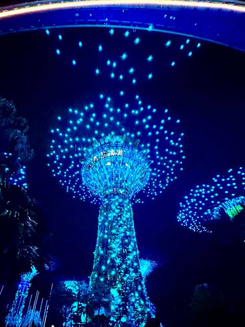 Colorful illuminated futuristic trees at night in a park setting.