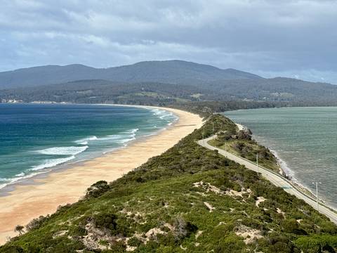 A sandy beach with a long stretch of coastline meeting a forested area.