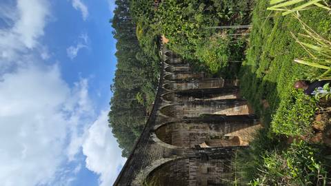 A view of the Nine Arches Bridge surrounded by lush greenery and tea fields.