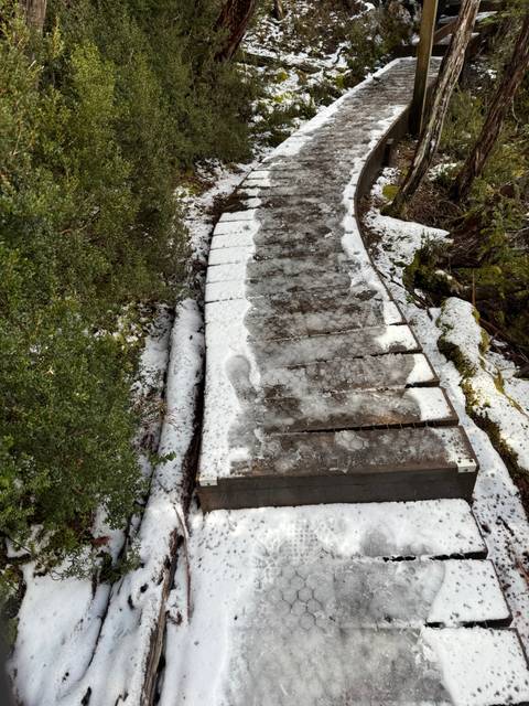 A wooden path covered in snow and ice through a forest area.