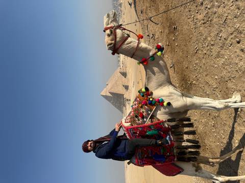      Person on a decorated camel with pyramids in the background.
  