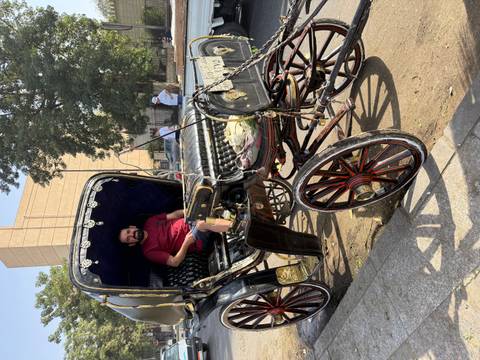       Man sitting in a traditional horse carriage.
  