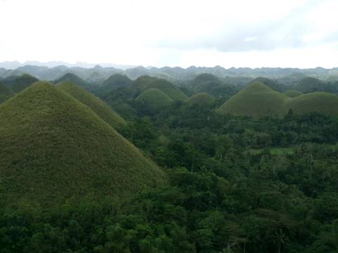 Hills covered in lush greenery, resembling chocolate mounds.