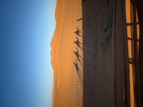 Shadows of camels with riders on sand dunes.