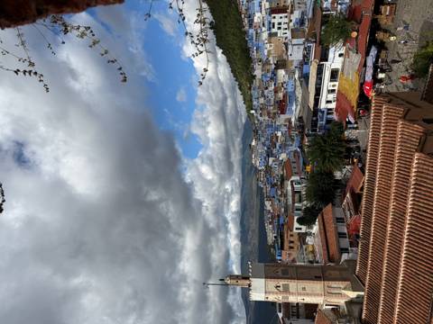       A panoramic view of a city with blue-painted buildings and wooded hills.
  