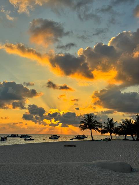       Sunset with dramatic clouds and palm trees silhouetted.
  