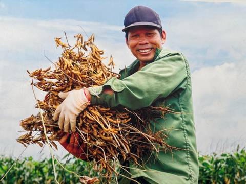 A smiling man holding a bundle of crops in a rural setting.