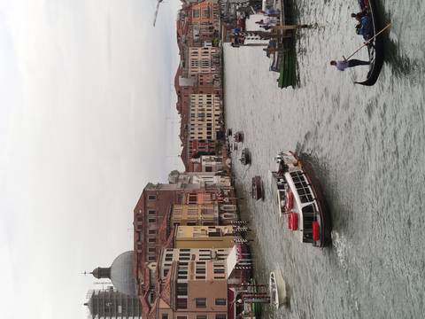 Venetian canal with gondolas and waterbuses.