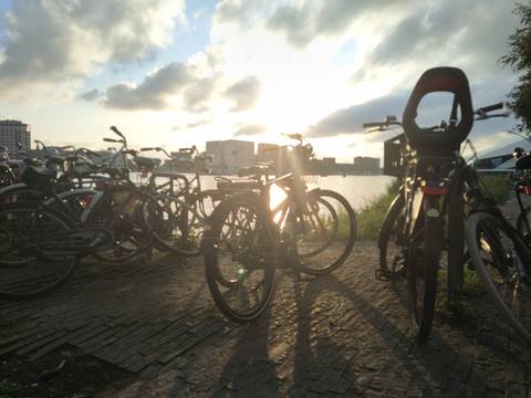 Bicycles by the water with a sunset backdrop.
