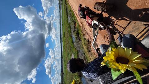 Man on a rural path with sunflowers, blue sky, and vast greenery.