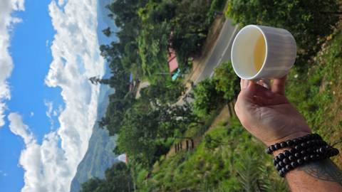 Hand holding a cup of tea overlooking a scenic road and greenery.