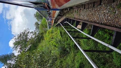 Train traveling through lush greenery with passengers enjoying the view.