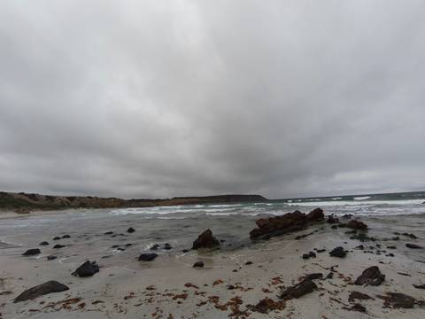       Cloudy beach landscape with rough waves and rocky shore.
  