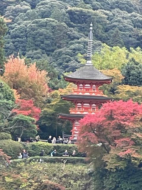 Traditional Japanese pagoda surrounded by trees with autumn colors, blurred.