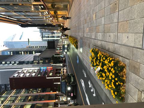Urban street scene with cars on road and buildings.