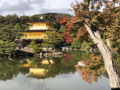 Iconic Golden Pavilion with reflection in pond, surrounded by trees.