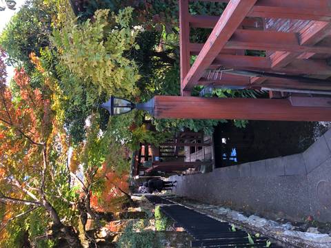 Narrow path with scenic foliage and a person walking through.