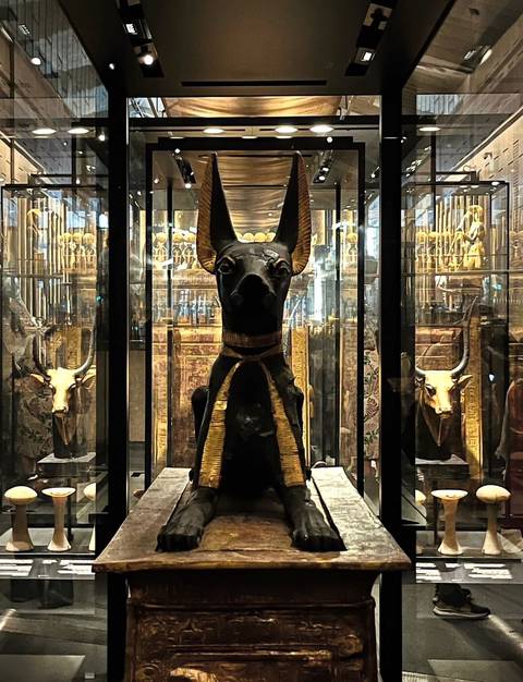       Black Anubis statue in a glass display case.
  