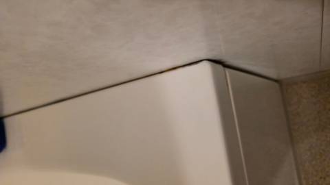 Blurry image of a bathroom corner.