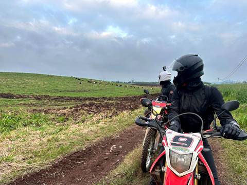       Motorcyclists in a scenic grassy area with cows.
  