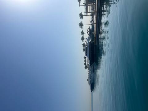View of several yachts moored in a marina with palm trees.