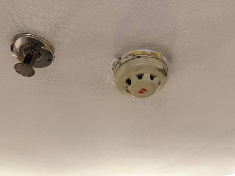       Smoke detector and sprinkler on a textured ceiling.
  